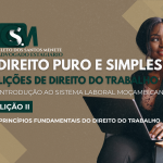 Princípios Fundamentais do Direito do&hellip;